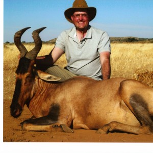 Red Hartebeest Namibia