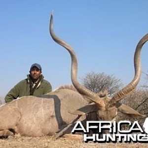 Hunting Greater Kudu