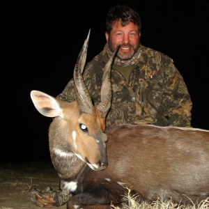 3 horned Limpopo Bushbuck - 2008