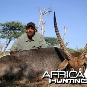 Hunting Waterbuck