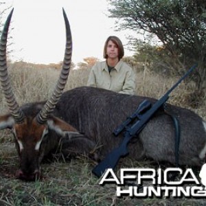 Hunting Waterbuck