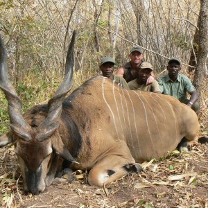 Lord Derby Eland