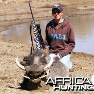 Hunting Warthog Namibia