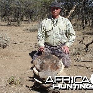 Hunting Warthog Namibia