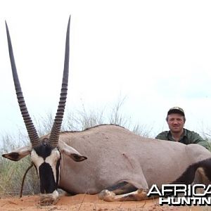 Gemsbok