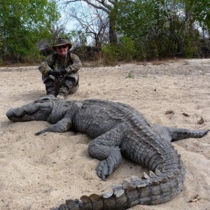 Crocodile hunted in from a hole, Tanzania