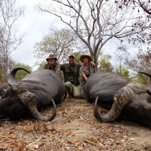 Double on Buffalo, hunt in the Selous, Tanzania