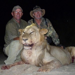 Lion hunted in the Selous, Tanzania