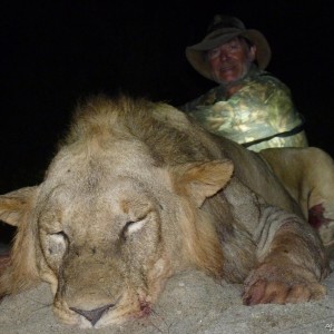 Lion hunted in the Selous, Tanzania