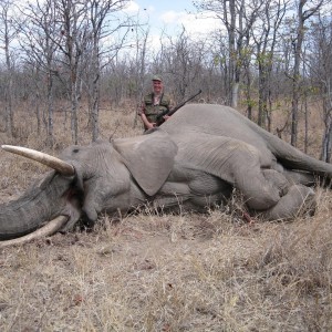 Hunting Elephant