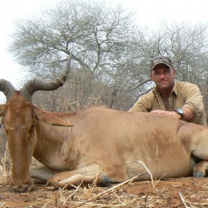 19" Coke hartebeest. Masailand