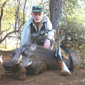 Hunting Warthog