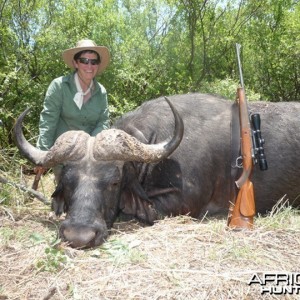 Buffalo hunted in Matetsi Unit 1 Zimbabwe