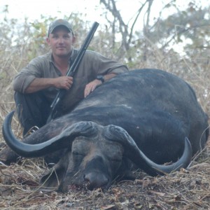 Hunting Buffalo