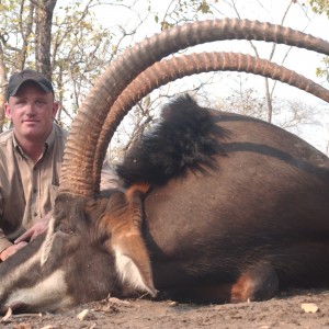 Tanzania Sable