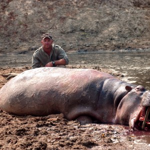 Hippo-Rungwa River