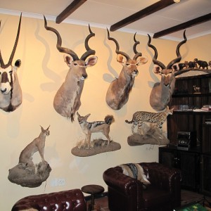 Trophy Room