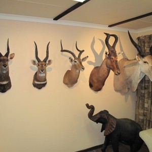 Trophy Room