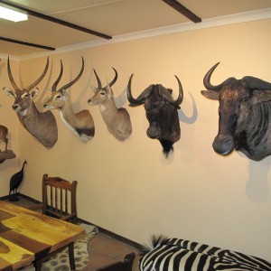 Trophy Room