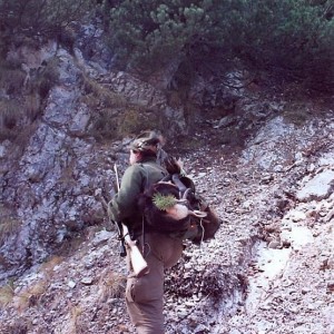 Hunting Chamois Slovenia