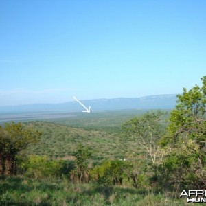 Leeukop Safaris Property in South Africa