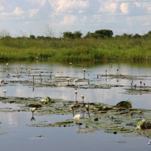 Caprivi Namibia