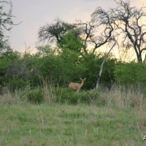 Namibia