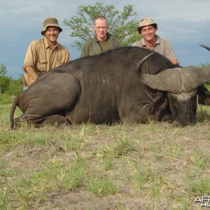 Buffalo hunted in Caprivi Namibia with Van Heerden Safaris