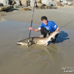 Shark fishing in and around Port Elizabeth South Africa