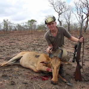 lichtensteins hartebeest