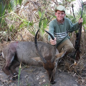 Defassa waterbuck