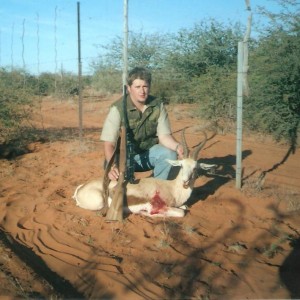 Springbok