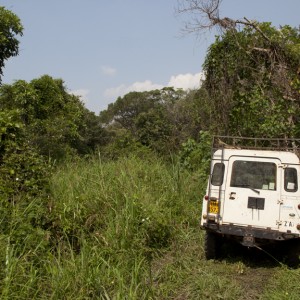 Landie in East Madi, Uganda