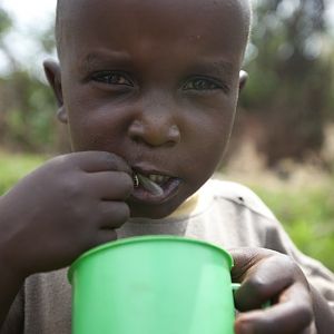 Boy eats ants from cup