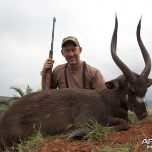 Ssese Island Sitatunga hunted in Uganda