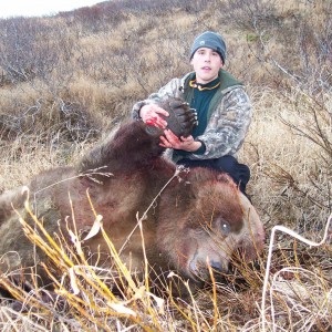 Kodiak, AK Brown Bear