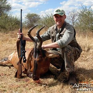 Hunting Hartebeest