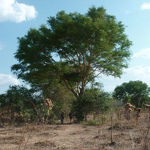 Hunting blind in Tanzania