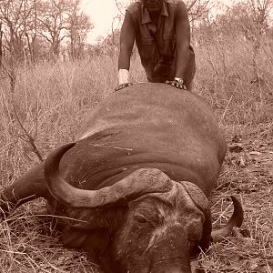 Cape Buffalo hunting in Tanzania