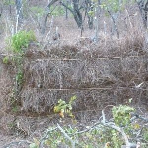 Hunting blind in Tanzania