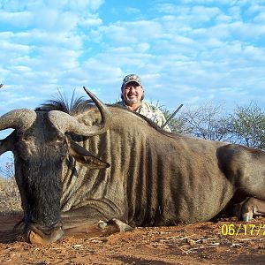 Blue Wildebeest;2008