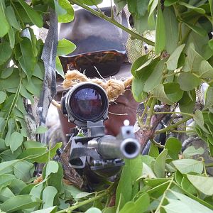 Hunting in Tanzania from a makeshift hide