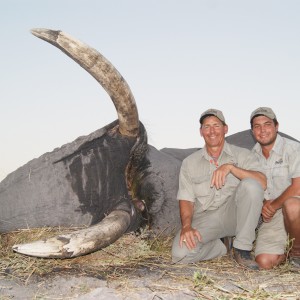 Elephant hunting with Hartzview Hunting Safaris