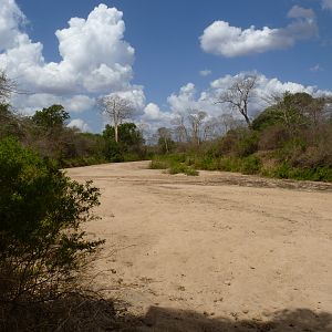 Hunting in Tanzania