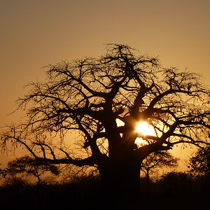 Tanzania sunset