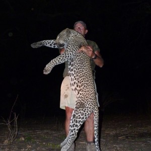 Hunting Leopard Tanzania