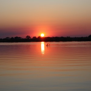 Sunset Chobe