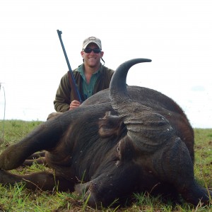 Buffalo in the Swamps Taken in Coutada 11, Mozambique, June 2010