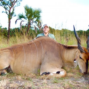 Livingstone's Eland Taken in Coutada 11, Mozambique, June 2010