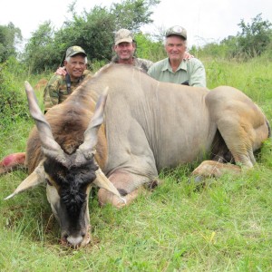 Hunting East African Eland Uganda